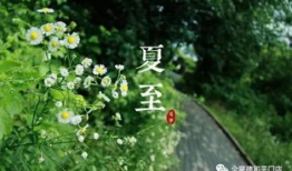 夏至当天吃什么